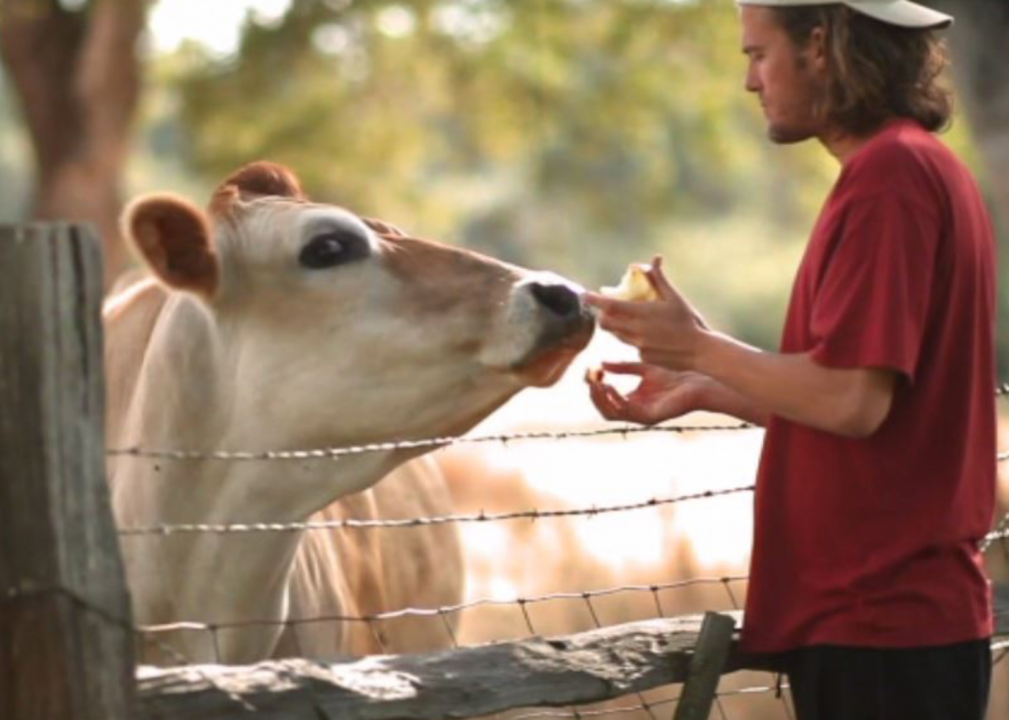 #30. Cowspiracy: The Sustainability Secret (2014)